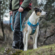 Kurgo Kurgo Journey Air Dog Harness