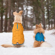 Kurgo Dog Coat Kurgo Loft Jacket Dog Coat