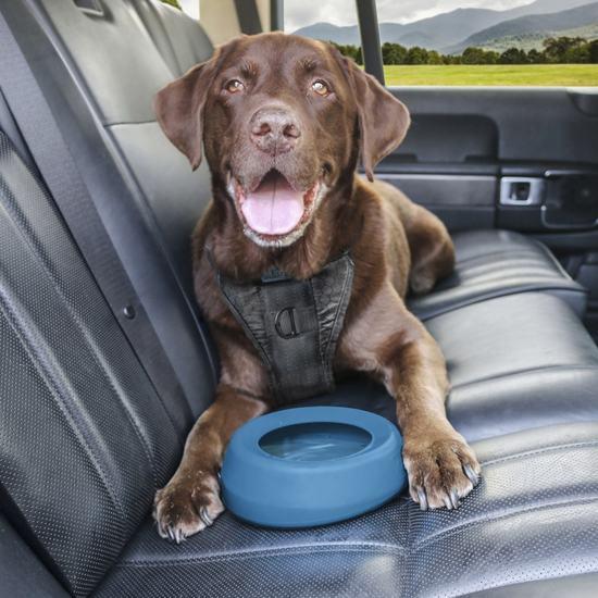 Kurgo Dog Bowl Kurgo Splash Free Bowl