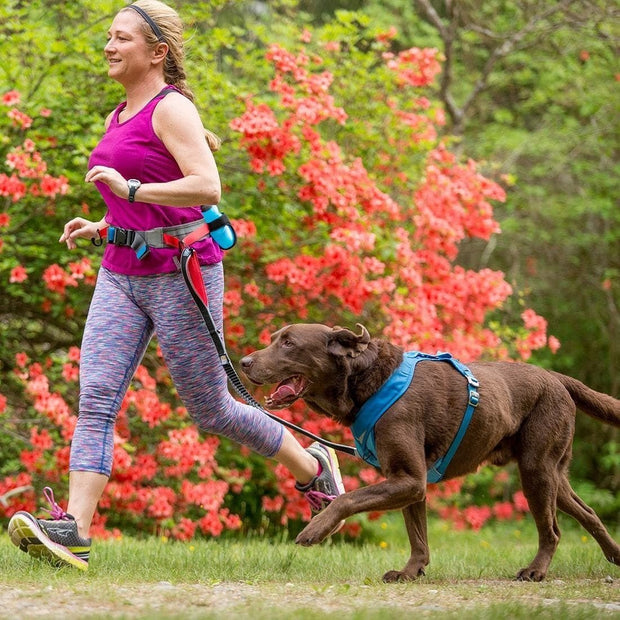 Kurgo Dog Lead Kurgo Springback Dog Lead - 48" Hiking and Running