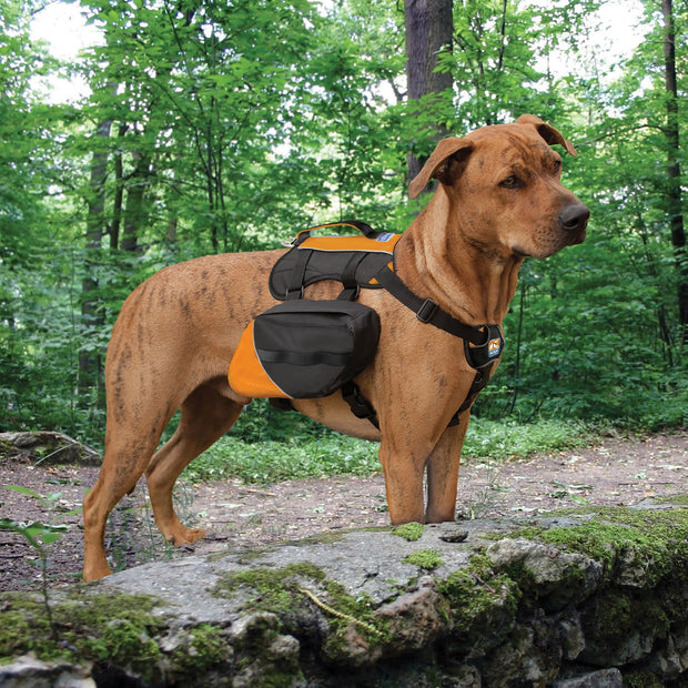 Kurgo Regular Kurgo Baxter Backpack Black/Orange Dog Harness