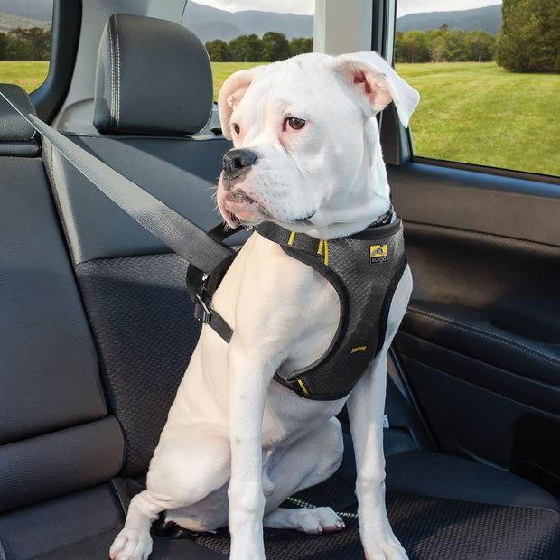 Kurgo Small Kurgo Impact Seatbelt Dog Harness Black
