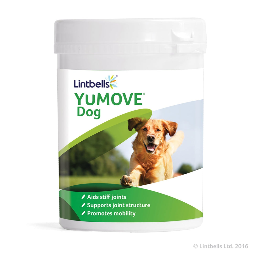 Lintbells Yumove Dog Tablets from Lintbells Riding Harness Stuff