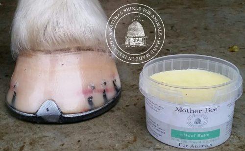 Mother Bee Mother Bee™ Hoof Balm