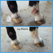 Mother Bee Mother Bee™ Mud Relief