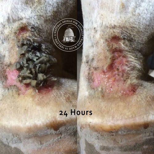 Mother Bee Hand Cream Mother Bee™ Soothe & Protect