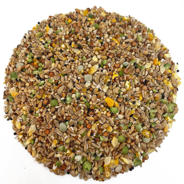 Natures Grub Chicken Feed Natures Grub Coop Mix Plus
