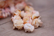 Natures Grub Chicken Feed Natures Grub Fruit & Berry Popcorn Treat
