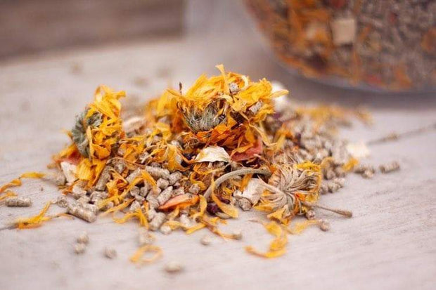 Natures Grub Chicken Feed Natures Grub Garlic & Herbs Superfoods Treat