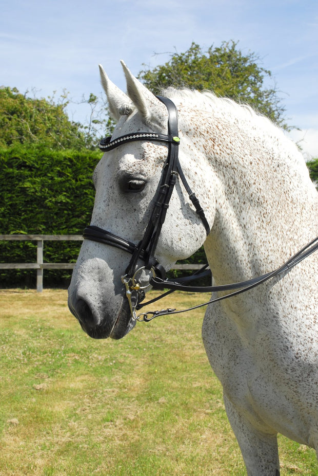 Rhinegold Pro Anatomical Bridle | PeeWee Saddlery