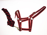 Rhinegold Headcollar & Lead Harlequin Headcollar And Rope Set CLEARANCE