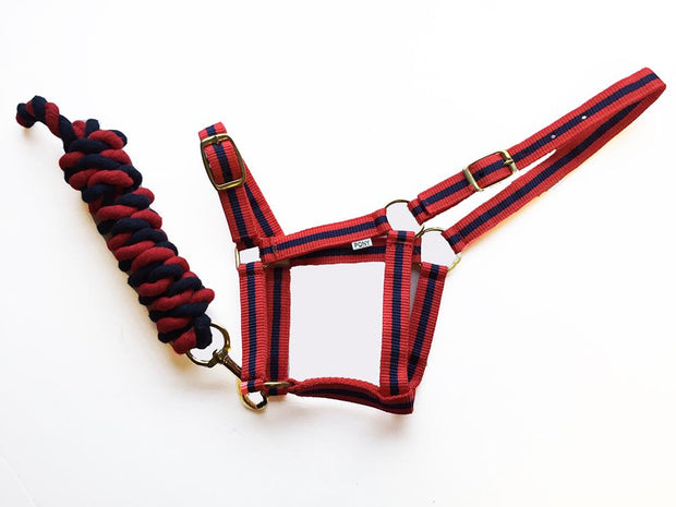 Rhinegold Headcollar & Lead Harlequin Headcollar And Rope Set CLEARANCE