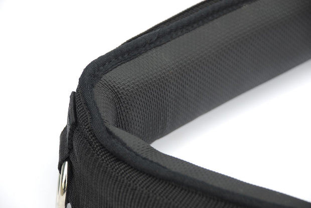 Rhinegold Lungeing Rhinegold Nylon Lunging Roller