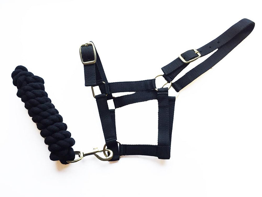 Harlequin Headcollar And Rope Set CLEARANCE from Rhinegold – Riding ...