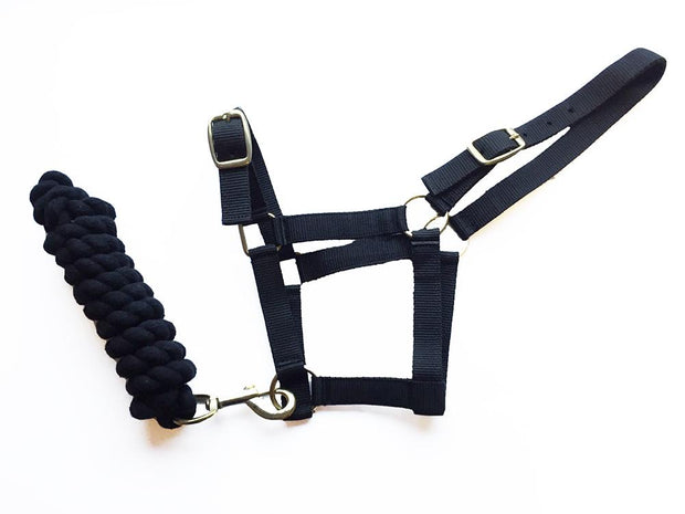 Rhinegold Headcollar & Lead Shetland / Black Harlequin Headcollar And Rope Set CLEARANCE