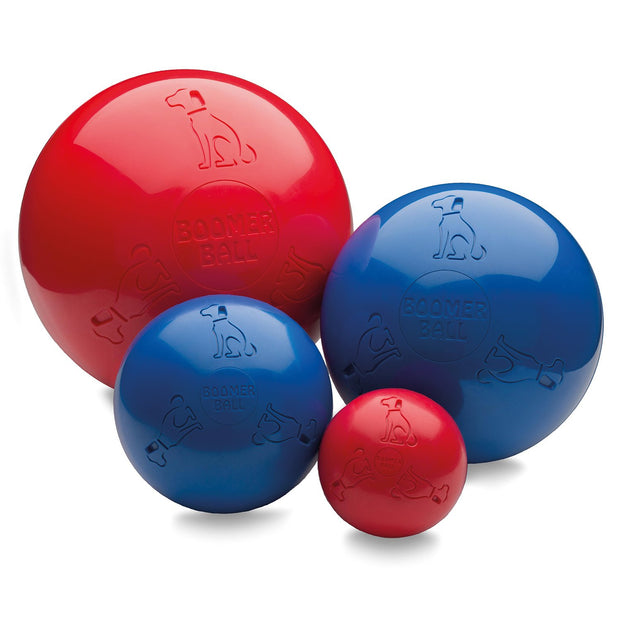 The Company of Animals Dog Toy 11Cm (4") Boomer Ball