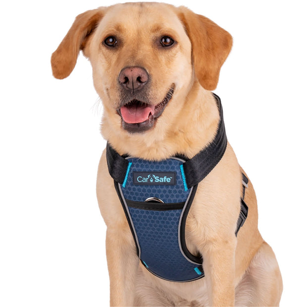 The Company of Animals Carsafe Crash Tested Dog Harness