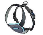 The Company of Animals Carsafe Dog Travel Harness