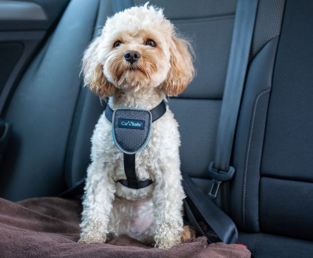 The Company of Animals XSmall Carsafe Dog Travel Harness