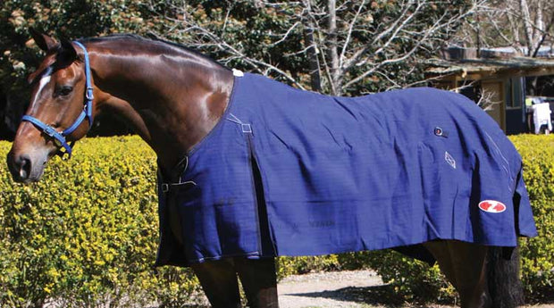 Zilco Rug 4'0 Blue Mountain Rug
