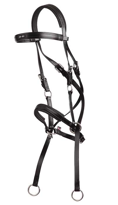 Zilco Bridle Arab / Black Zilco Bitless Bridle