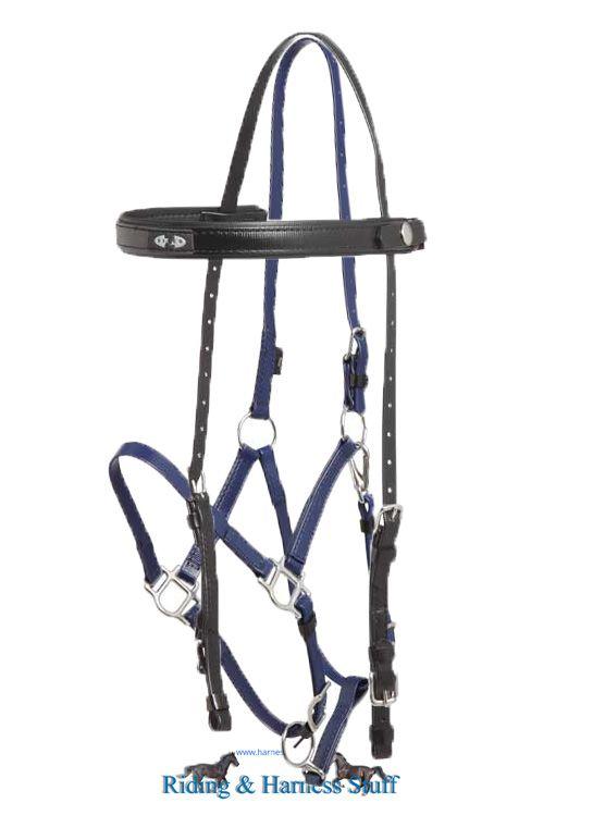 Zilco Black / Dark Blue Zilco Deluxe Endurance Bridle Complete - Arab