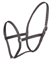 Zilco Headcollar Black / Pony Zilco Driving Underhalter - Soft Weave PP Web
