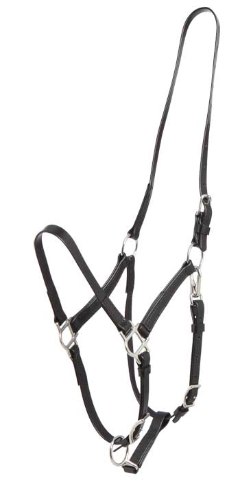 Zilco Bridle Black Zilco Deluxe Endurance Bridle 2 Part Stainless Steel Fitting - Halter Part