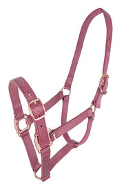 Zilco Headcollar Blush / Pony Zilco Estate Headcollar