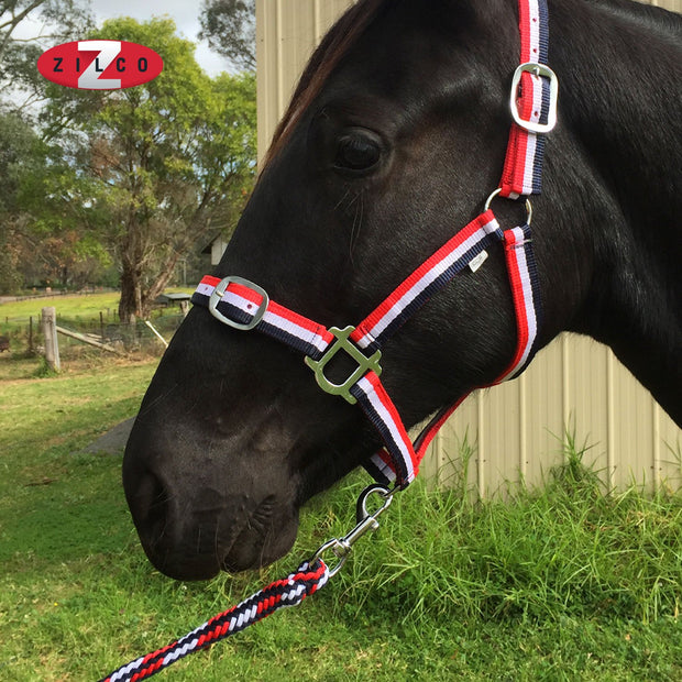 Zilco Headcollar & Lead Brite Headcollar and Lead Rope