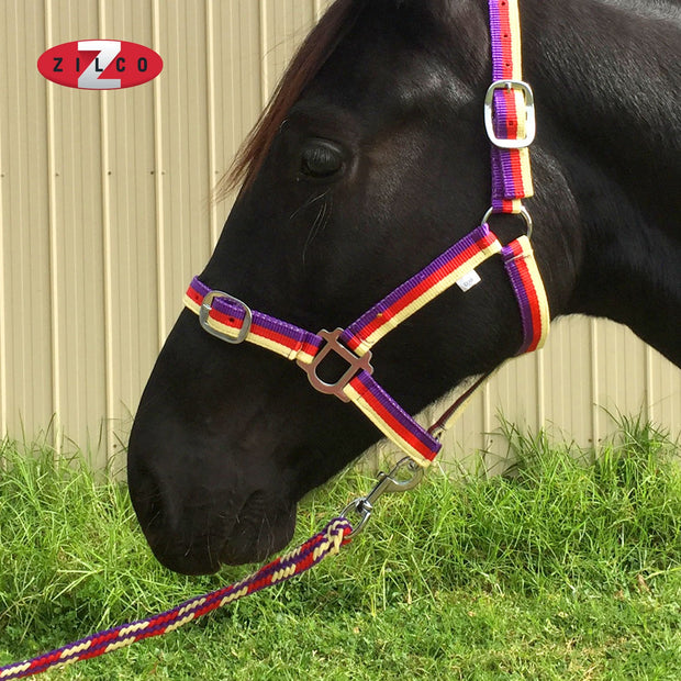 Zilco Headcollar & Lead Brite Headcollar and Lead Rope