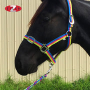 Zilco Headcollar & Lead Brite Headcollar and Lead Rope
