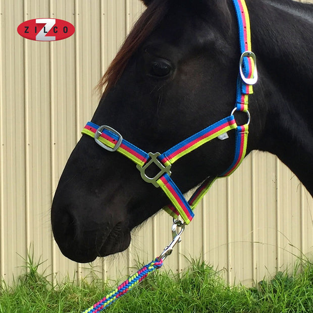 Zilco Headcollar & Lead Brite Headcollar and Lead Rope