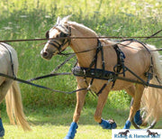 Zilco Bungee Trace Carry Straps - Tandem