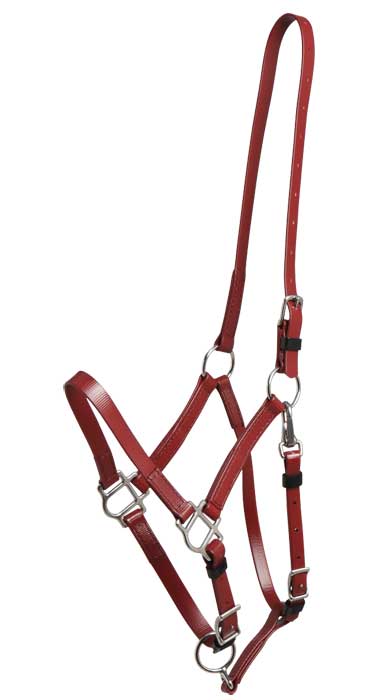 Zilco Bridle Burgundy Zilco Deluxe Endurance Bridle 2 Part Stainless Steel Fitting - Halter Part