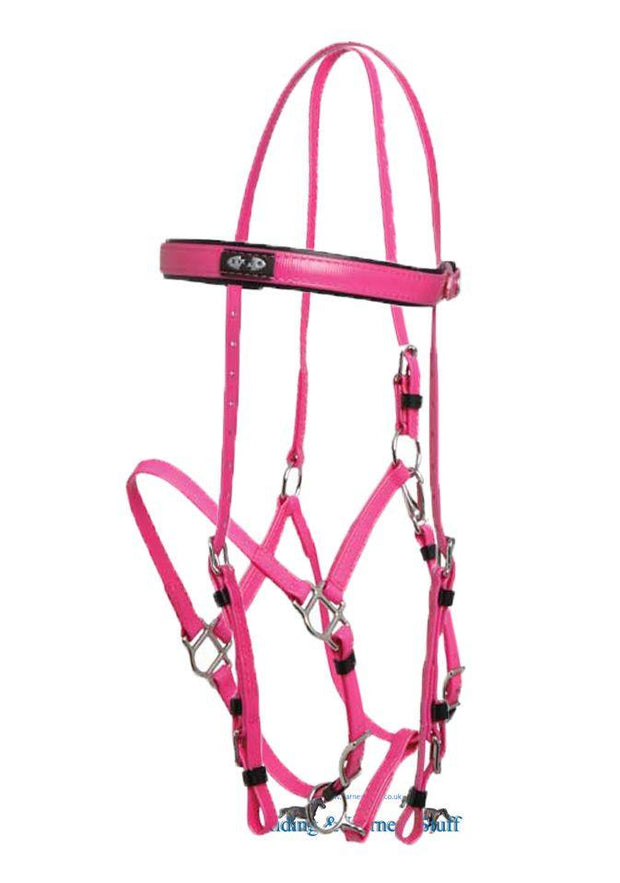 Zilco Cerise / Cerise Zilco Deluxe Endurance Bridle Complete - Arab