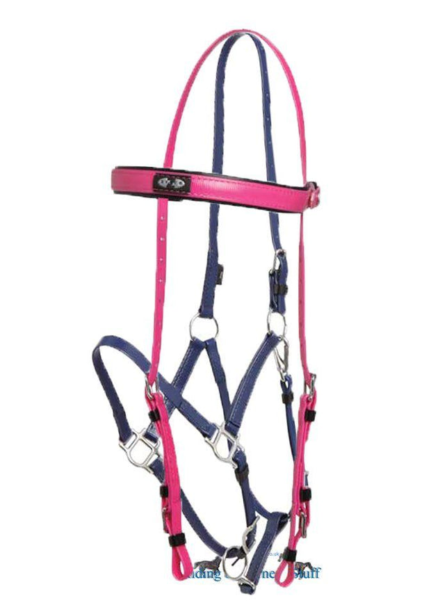 Zilco Cerise / Dark Blue Zilco Deluxe Endurance Bridle Complete - Arab