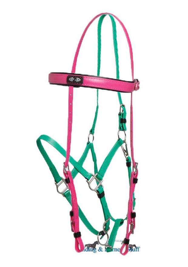 Zilco Cerise / Light Green Zilco Deluxe Endurance Bridle Complete - Arab