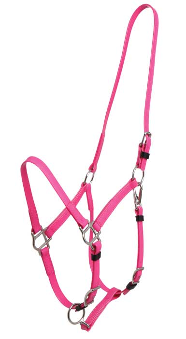 Zilco Bridle Cerise Pink Zilco Deluxe Endurance Bridle 2 Part Stainless Steel Fitting - Halter Part