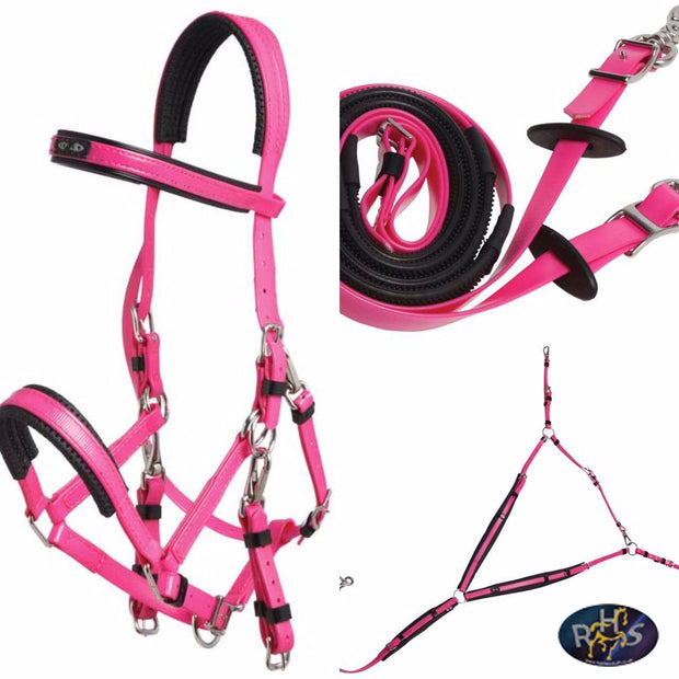 Zilco Bridle Cerise Zilco Marathon Endurance Set Arab Size