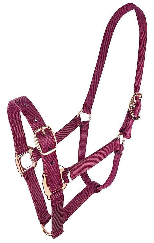 Zilco Headcollar Claret / Cob Zilco Estate Headcollar