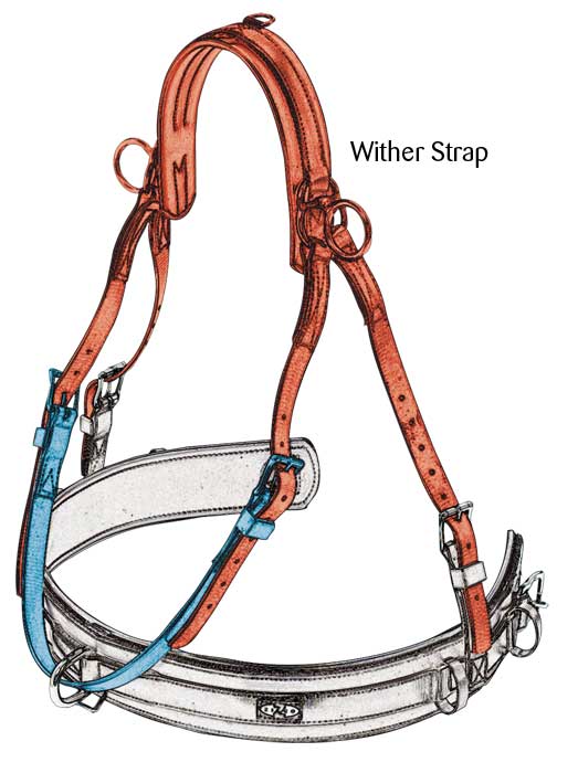 Zilco Classic Wither Strap