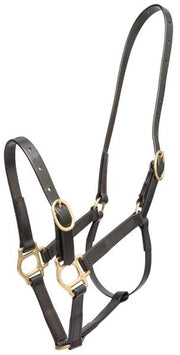 Zilco Headcollar Cob / Black Zilco PN Headcollar 19mm