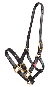 Zilco Headcollar Cob / Black Zilco PN Headcollar 25mm