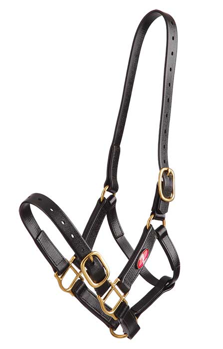 Zilco Headcollar Cob / Black Zilco PN Headcollar 25mm