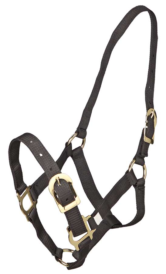 Zilco Headcollar Cob / Black Zilco Polypropylene Headcollar