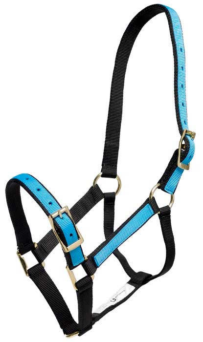 Zilco Headcollar Cob / Blue/Black Zilco "Overlay" Headcollar