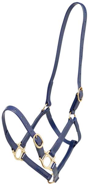 Zilco Headcollar Cob / Blue Zilco PN Headcollar 19mm