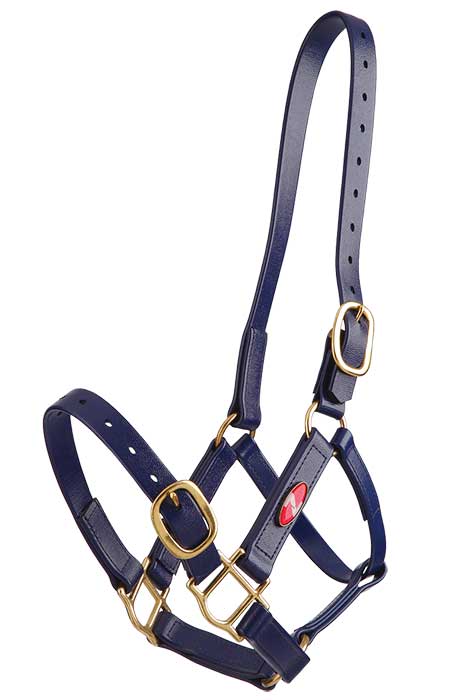Zilco Headcollar Cob / Blue Zilco PN Headcollar 25mm