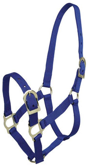 Zilco Headcollar Cob / Blue Zilco Polypropylene Headcollar